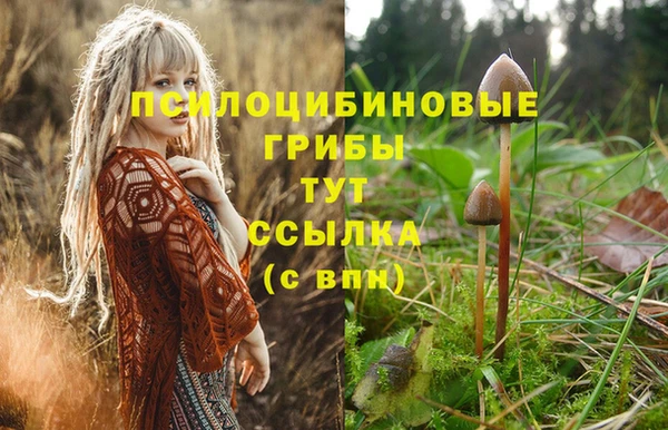 твердый Армянск