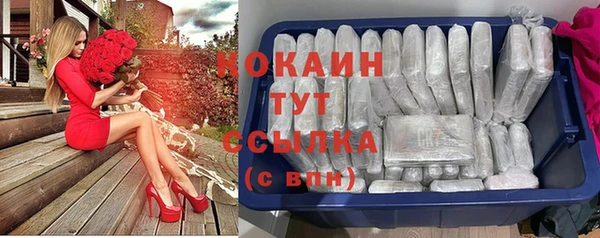 твердый Армянск