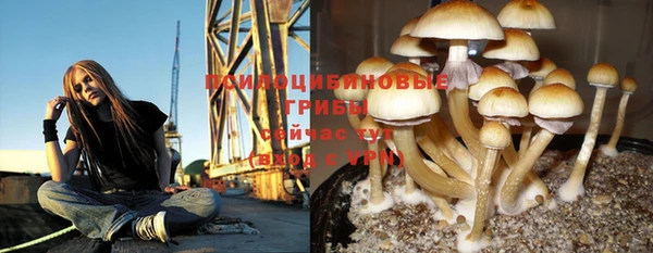 тгк Аркадак